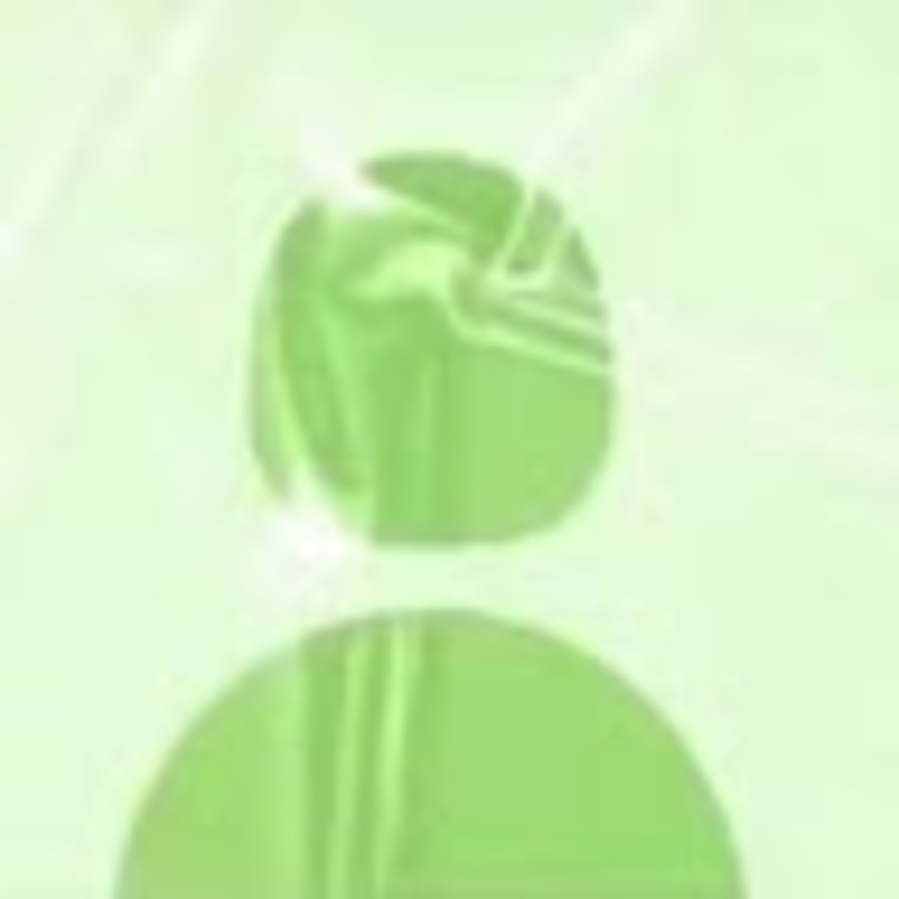 Meet your Posher, Kattt